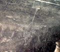 Lignes de Nazca Décembre 2006 - Colibri 2.jpg