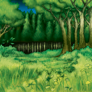 Forest-MADU-EN-VG-artwork.png