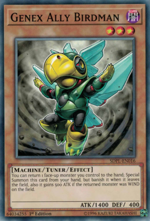 GenexAllyBirdman-SDPL-EN-C-1E.png