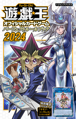 Perfect Rulebook 2024 promotional card