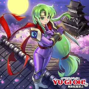 いけやんページ Yae the Special Investigations Ninja - Yugipedia