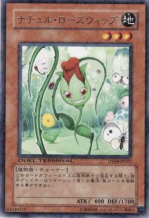 female spellcaster yugioh cards 30 Most Iconic Female Yu-Gi-Oh! Cards (Ranked)  FandomSpot