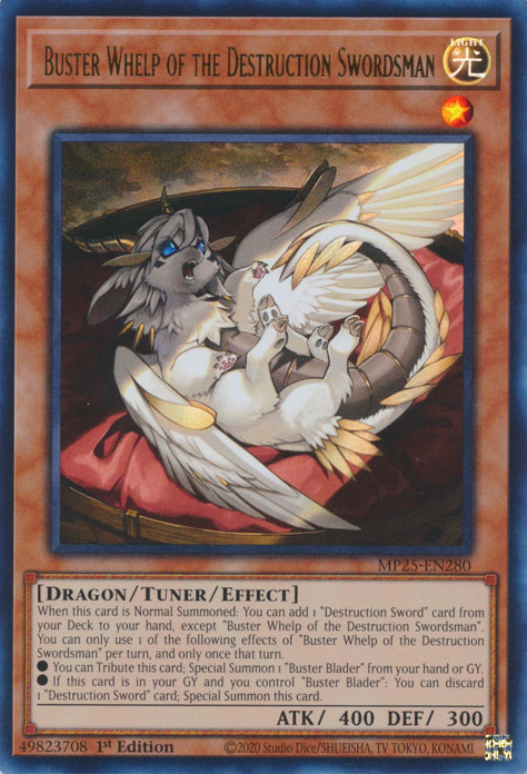 Buster Whelp of the Destruction Swordsman - Yugipedia
