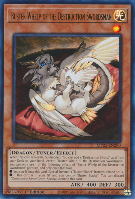 Buster Whelp of the Destruction Swordsman - Yugipedia