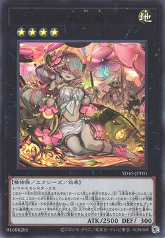 Card Gallery:Traptrix Pinguicula - Yugipedia - Yu-Gi-Oh! wiki
