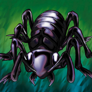 Big Insect (anime) - Yugipedia