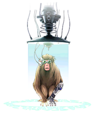 Test Ape (Duel Links) - Yugipedia